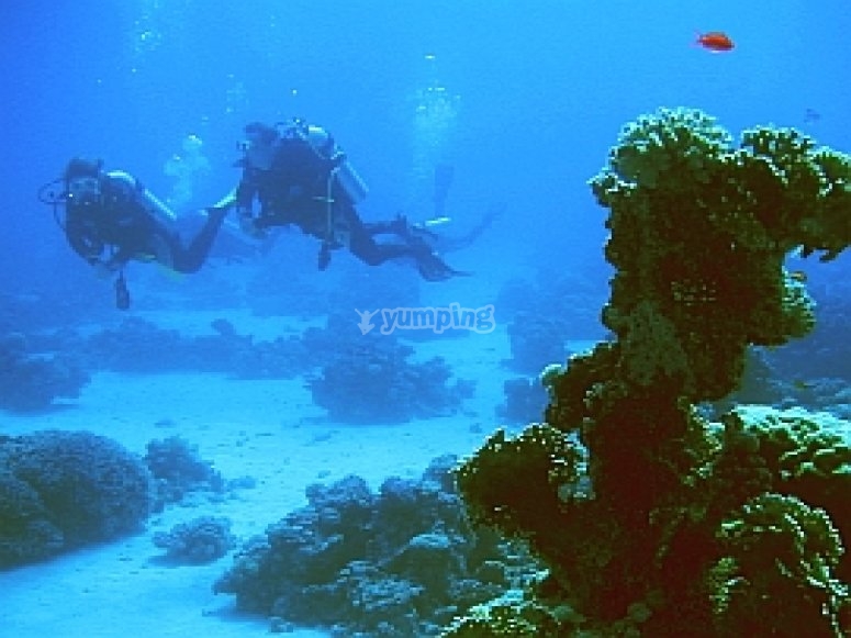 Cardiff BSAC, prices and bookings 2024